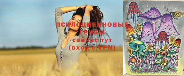 мдпв Переславль-Залесский