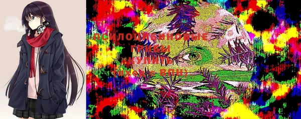 первитин Пестово