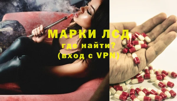 сатива Абаза