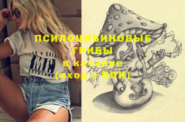 прущие крисы Абинск
